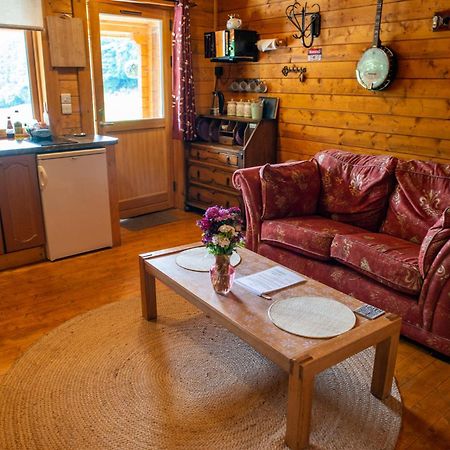 Blossom Cabin - Little Log Cabin In Wales Newtown  Exteriör bild