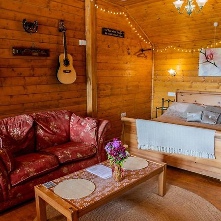 Blossom Cabin - Little Log Cabin In Wales Newtown  Exteriör bild