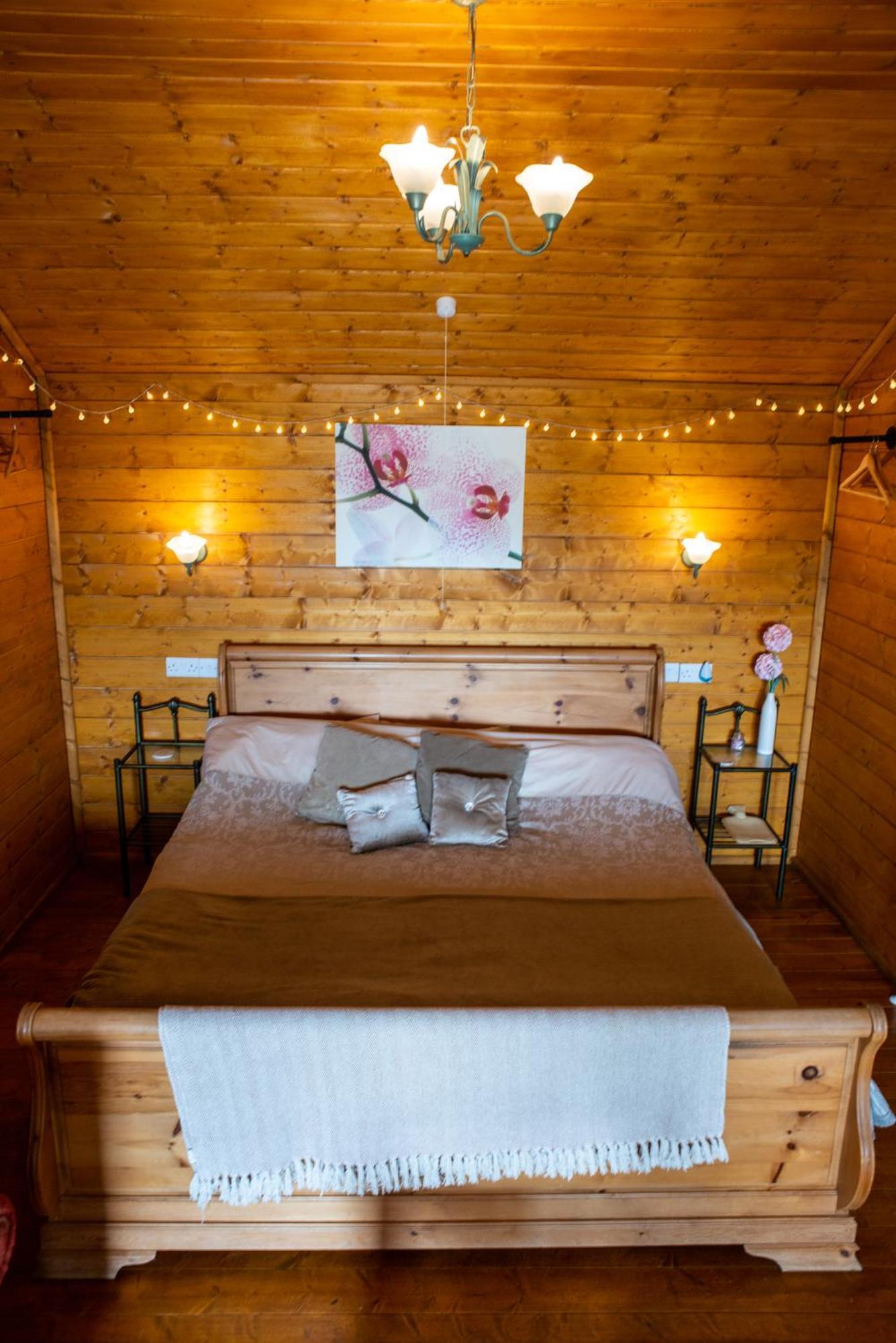 Blossom Cabin - Little Log Cabin In Wales Newtown  Exteriör bild