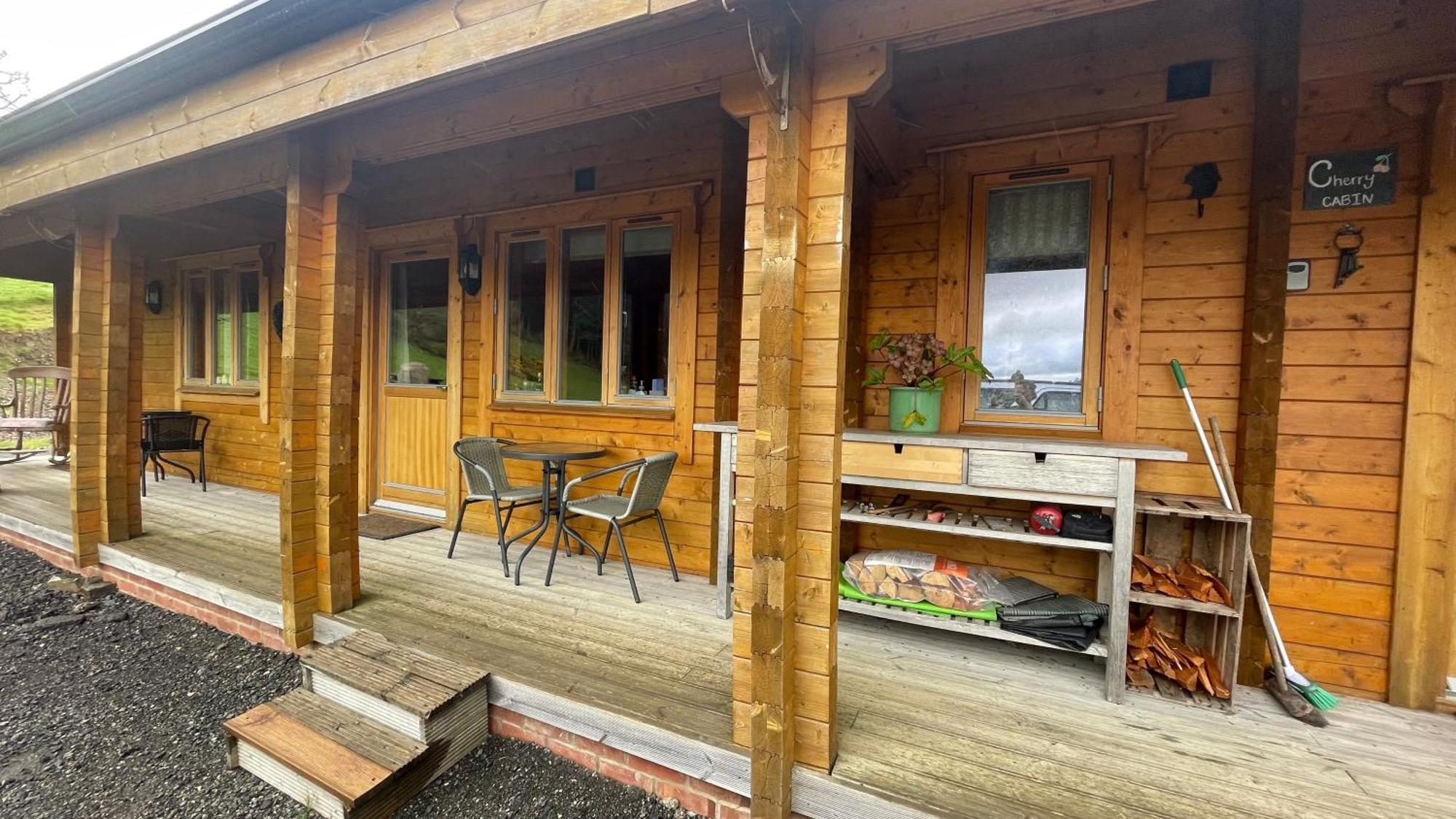 Blossom Cabin - Little Log Cabin In Wales Newtown  Exteriör bild