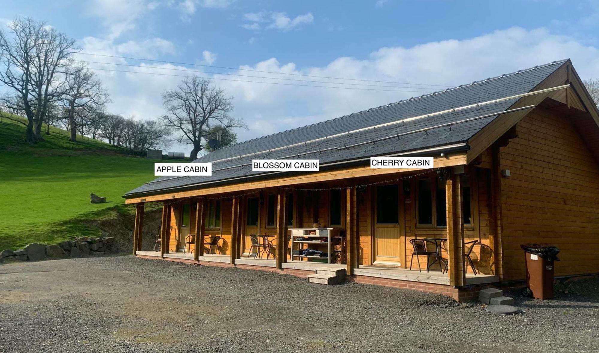 Blossom Cabin - Little Log Cabin In Wales Newtown  Exteriör bild